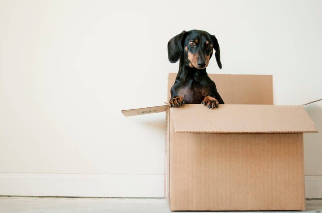 A simple guide on what to expect when moving house